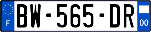 BW-565-DR