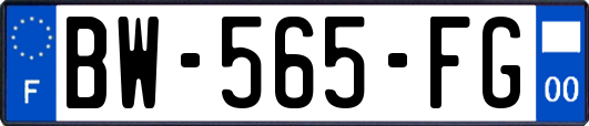 BW-565-FG