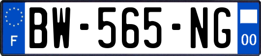 BW-565-NG
