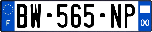 BW-565-NP
