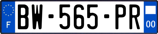 BW-565-PR