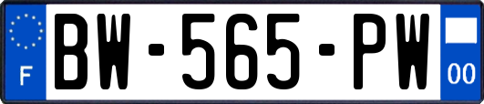 BW-565-PW