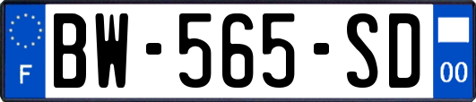 BW-565-SD