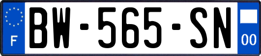BW-565-SN