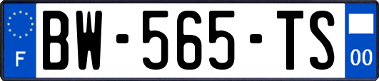 BW-565-TS