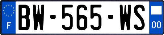 BW-565-WS