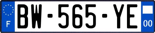 BW-565-YE
