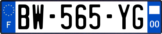 BW-565-YG