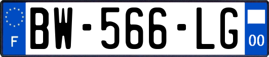 BW-566-LG