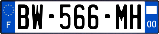 BW-566-MH