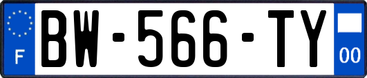 BW-566-TY