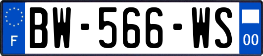 BW-566-WS