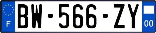 BW-566-ZY