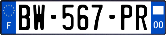 BW-567-PR