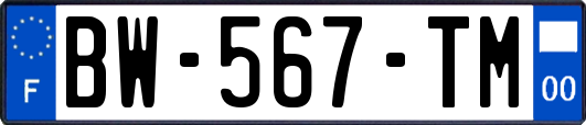BW-567-TM