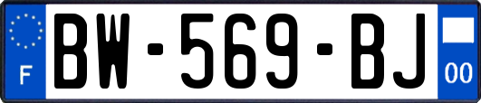 BW-569-BJ