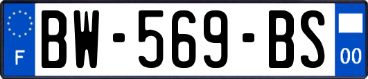 BW-569-BS