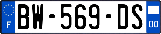 BW-569-DS