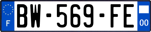 BW-569-FE