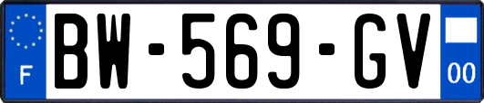 BW-569-GV