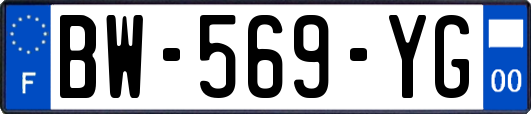 BW-569-YG