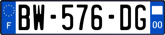 BW-576-DG