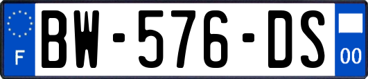 BW-576-DS