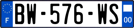 BW-576-WS