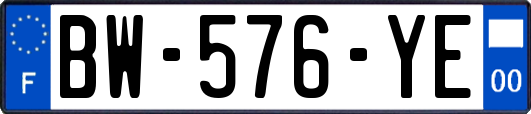 BW-576-YE