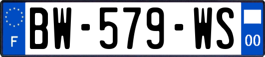 BW-579-WS