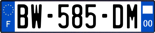 BW-585-DM