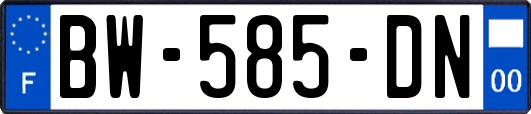 BW-585-DN