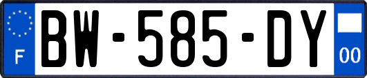 BW-585-DY