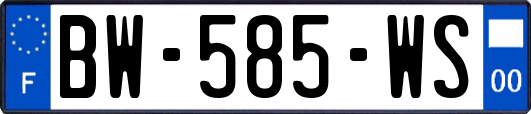 BW-585-WS
