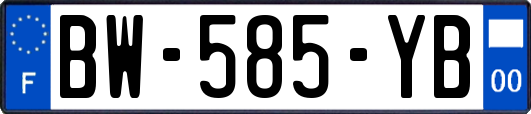 BW-585-YB