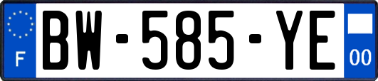 BW-585-YE