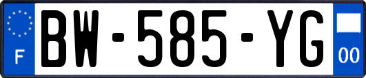 BW-585-YG