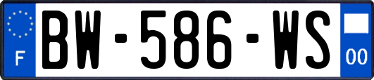 BW-586-WS