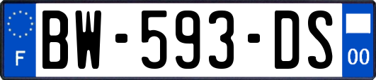 BW-593-DS