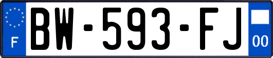 BW-593-FJ