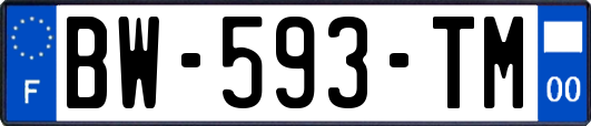 BW-593-TM