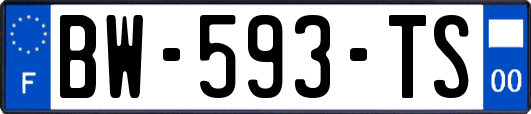 BW-593-TS