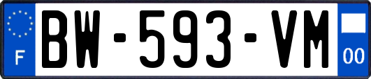 BW-593-VM