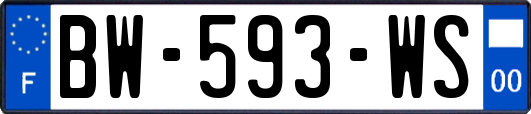 BW-593-WS