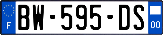 BW-595-DS