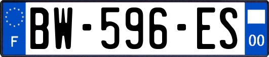 BW-596-ES