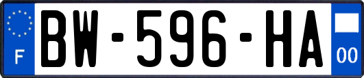 BW-596-HA