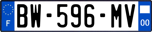BW-596-MV