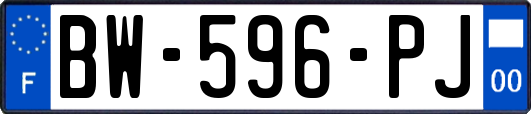 BW-596-PJ