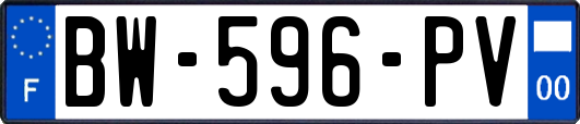 BW-596-PV